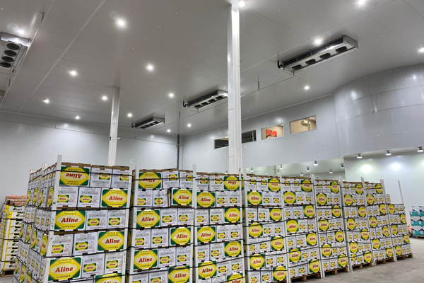 Proyectos-de-refrigeracion-ind-01