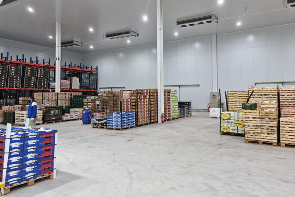 Proyectos-de-refrigeracion-ind-02