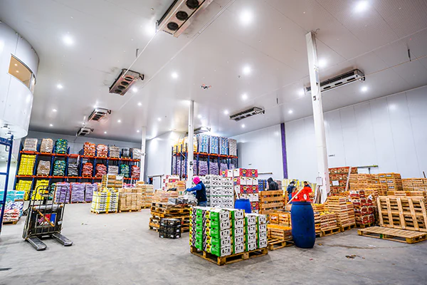Proyectos-de-refrigeración-industrial(1)