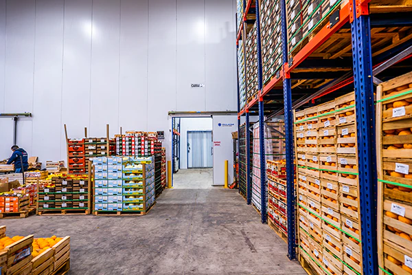 Proyectos-de-refrigeración-industrial(2)